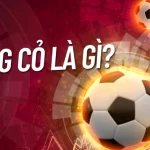 kèo bóng cỏ là gì